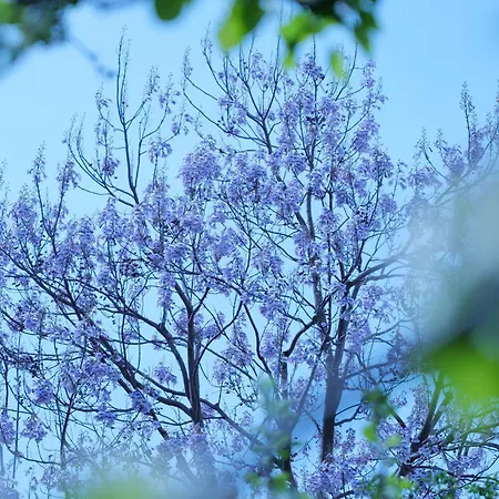 شقة Otto Ii - Zentrum