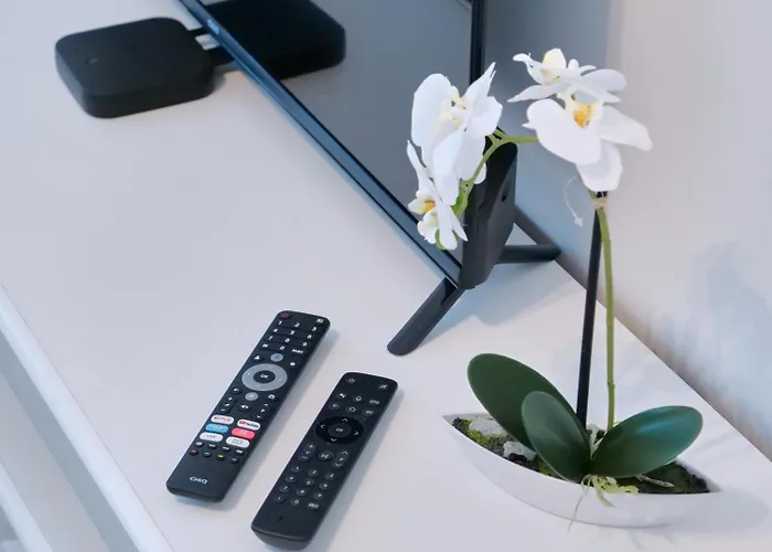 Otto Ii - Zentrum Erfurt