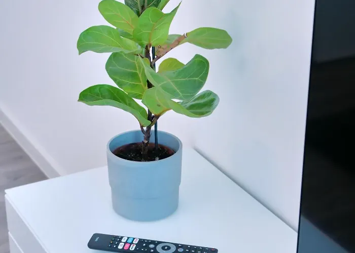 Otto Ii - Zentrum * Erfurt